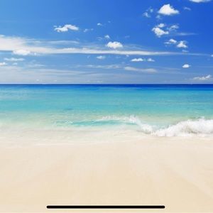 Meet your Posher, Susie